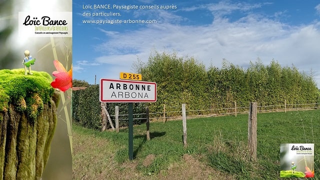 Paysagiste-Arbonne-paysage-Arbonne