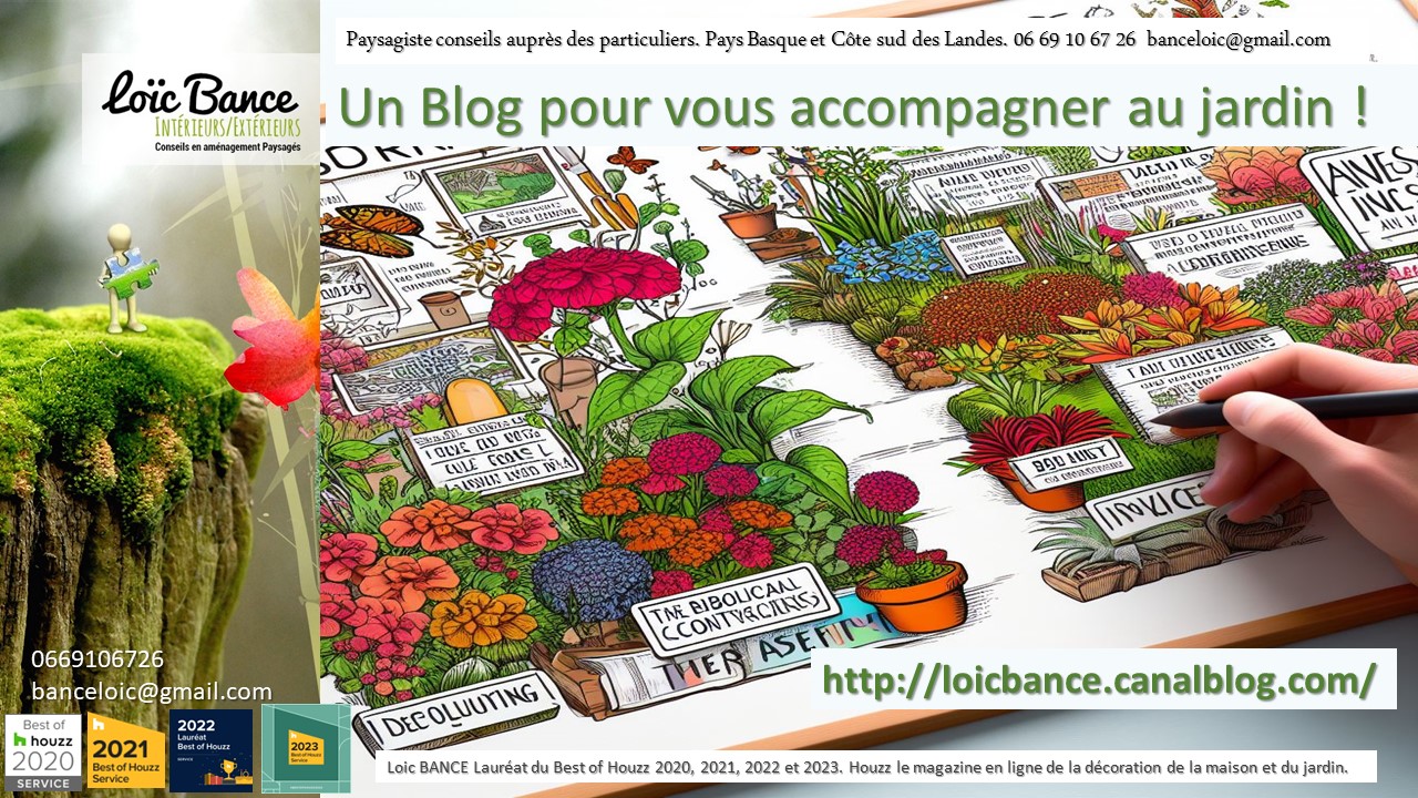 Paysagiste-Arbonne le blog jardin