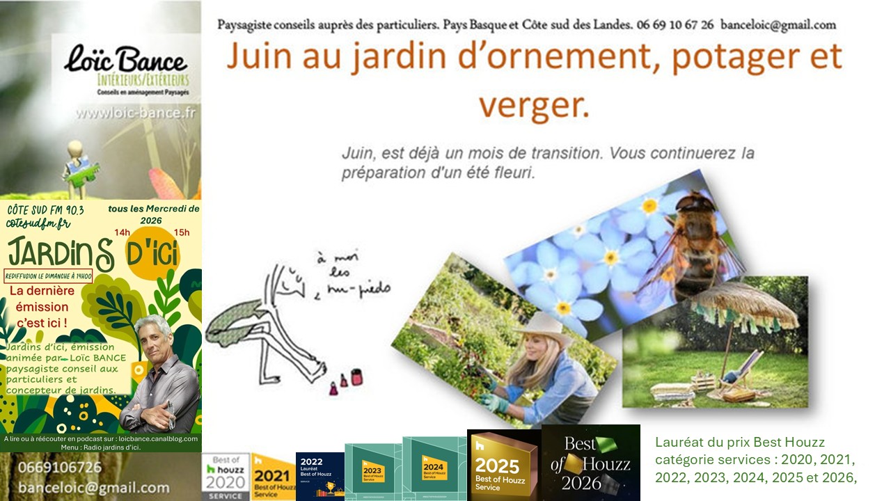Les travaux de juin 2026 au jardin d'ornement, potager ou fruitier. Paysagiste Arbonne