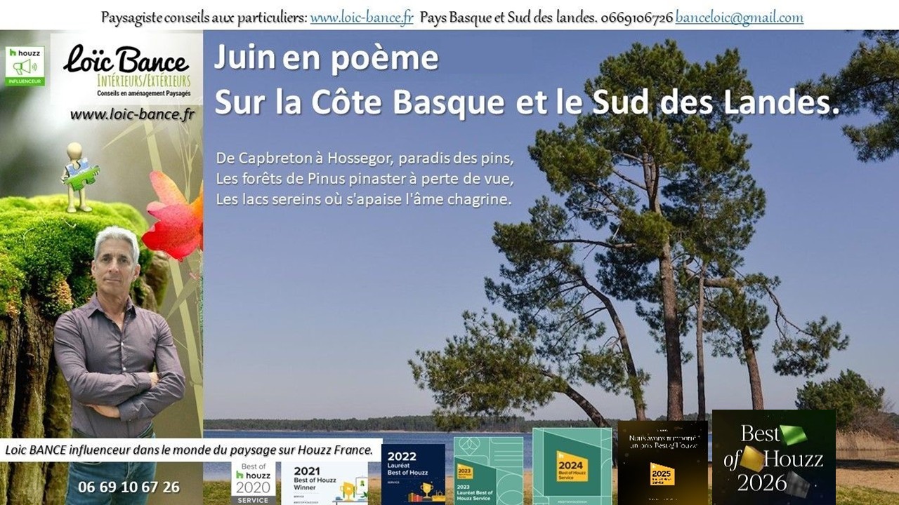 Juin en po�me sur la C�te Basco-Landaise. Paysagiste Arbonne 