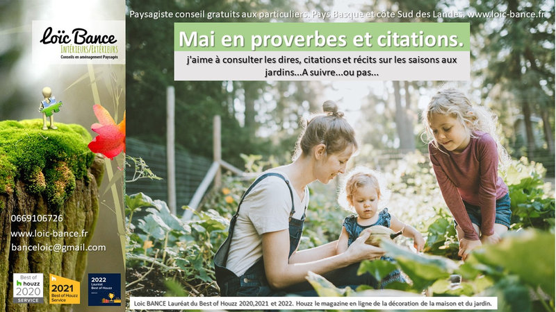 jardins; Landes; Pays Basque; Paysagiste; Paysagiste Pays Basque; Paysagiste Landes; Loc BANCE; Amnagements paysagers; Concepteur de jardins; 