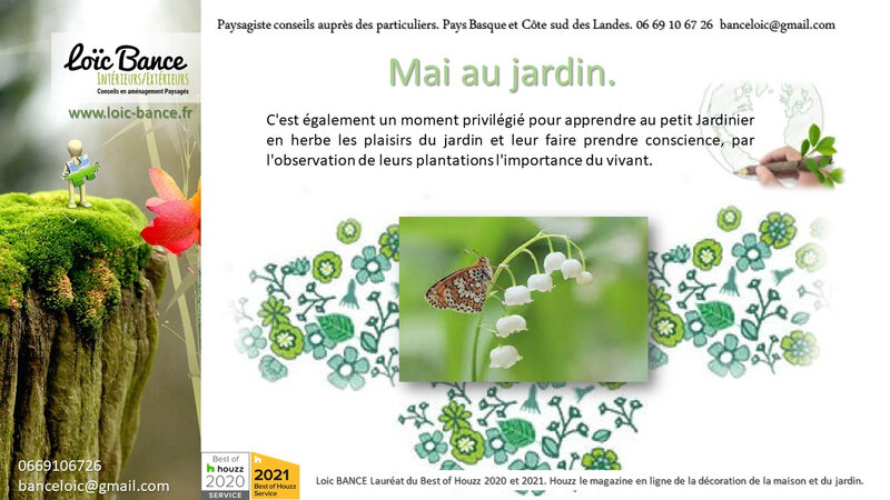 Les travaux du jardin en mai par Paysagiste Arbonne