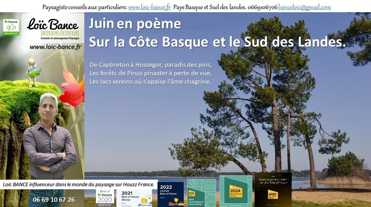 paysages; Landes; Pays Basque; Paysagiste; Paysagiste Landes; Paysagiste Pays Basque; Loc BANCE; Concepteur de jardins; Amnagements paysagers; Paysagiste conseils aux particuliers; Juin; Arbonne; 
